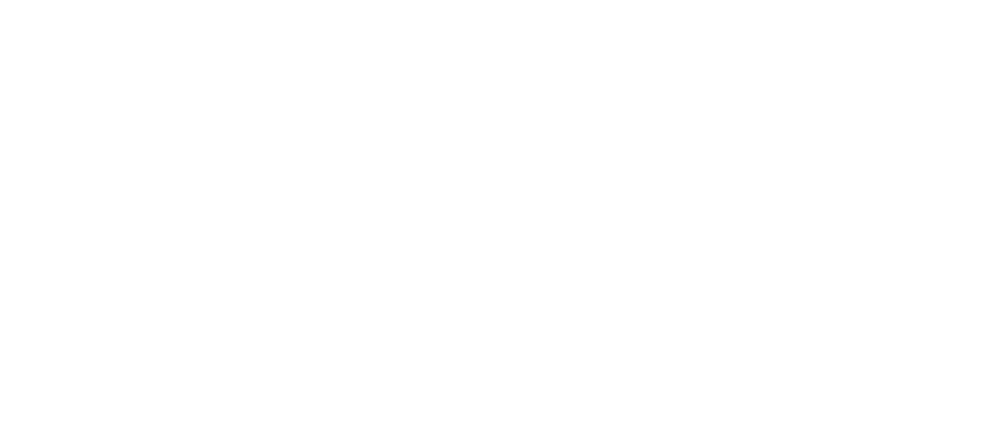 FL-AS-Logo 2-20